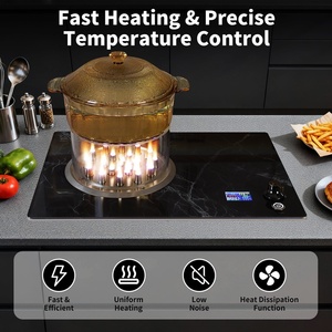 Nueva Placa de Inducción de Acero Inoxidable de 2200W, Integrada, con Panel de Cristal Negro, 9 Niveles de Potencia, Función de Temporizador, para el Hogar - Product Image 1