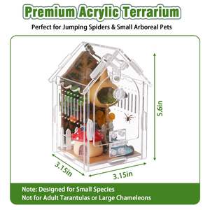 Recinto Acrílico Terrario para Arañas Saltarinas e Insectos para Pequeños Reptiles Arborícolas Cajas y Contenedores de Almacenamiento - Product Image 3