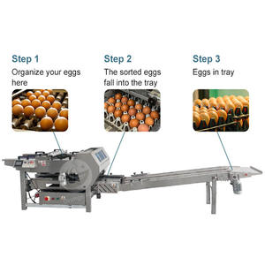ORME mesin Pak telur ayam otomatis, mesin Pulg kertas Pak telur - Product Image 4