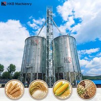 Silo di Stoccaggio Verticale da 500 Tonnellate, Soluzione per lo Stoccaggio di Cereali, Silo per Semi di Soia e Arachidi