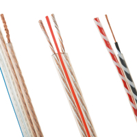Câble de haut-parleur audio de voiture personnalisé 14AWG 2.5mm CCA câble de haut-parleur Transparent Flexible givré câble de haut-parleur en cuivre pur câble de haut-parleur