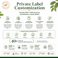 Gotas de Clorofila Líquida de Marca Privada, Alta Potencia para Desintoxicación y Apoyo Energético, Suplemento Vegano a Base de Plantas Sin OMG, OEM/ODM