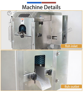 เครื่องตัดปลาสแตนเลส FGB-180 สำหรับแปรรูปปลา 40-60 ชิ้น/นาที เครื่องทำเนื้อปลาแซลมอน ปลาพอลแลค ปลาทิลาเปียอัตโนมัติ - Product Image 3