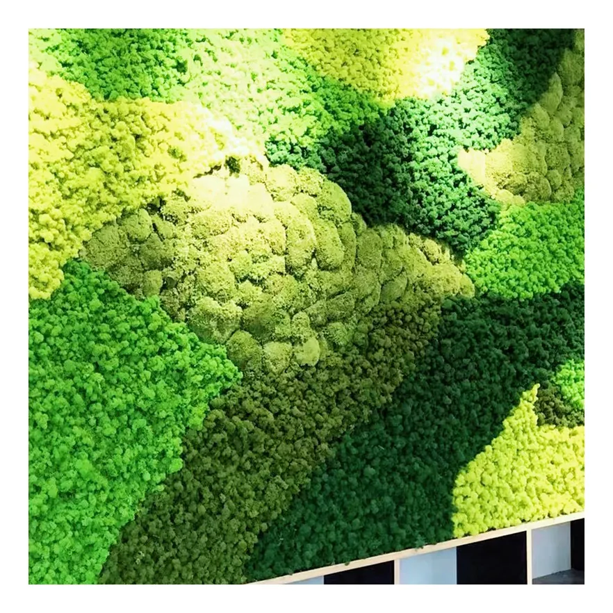 Korunmuş yosun duvar sanatı doğal ren geyiği yosun duvar paneli kapalı süslemeleri ens ens korunmuş renkli yosun paneli