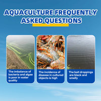 Probiotiques EM pour l'alimentation des poissons, additifs alimentaires pour animaux, probiotiques pour stabiliser la qualité de l'eau, suppléments nutritionnels
