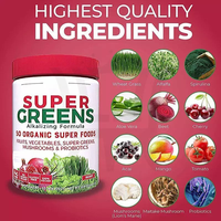 Poudre Instantanée Superaliment Vert 50 Plus Fruits Légumes 300g Fibres Probiotiques Complément Adulte OEM Marque Privée Vente en Gros