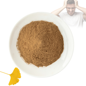 Cung cấp tự nhiên hữu cơ <span class=keywords><strong>Ginkgo</strong></span> <span class=keywords><strong>Biloba</strong></span> chiết xuất 10:1 20:1 <span class=keywords><strong>Ginkgo</strong></span> <span class=keywords><strong>Biloba</strong></span> lá chiết xuất bột - Product Image 2