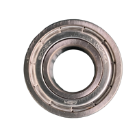 Roulement à billes 6002 6003 pour brosse de nettoyage de tapis, pièces de rechange E19 E2, 0,1 kg, métal, neuf, directement du fabricant