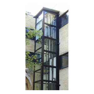 अनुकूलित छोटे हाइड्रोलिक होम लिफ्ट विकलांग घर लिफ्ट - Product Image 4