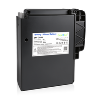 Batterie au lithium 24V 20Ah 480Wh NCM Li-ion avec BMS intelligent ternaire CNRY-24V, 800 cycles, pour chariots élévateurs électriques, transpalettes et AGVs