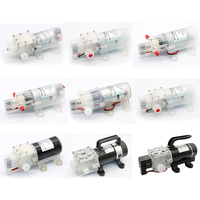 Mini pompe auto-amorçante de qualité alimentaire 12V/24V/48V 80W 8L/MIN Pompe à eau haute pression CC pour lait vin boisson
