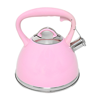 Bouilloire à eau et à thé classique en acier inoxydable, écologique, avec couvercle, pour le camping