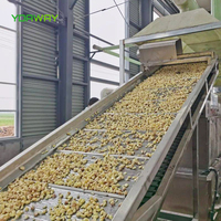 Granulés d'ail séchés à l'air de Chine, 16-26 mailles, racine concassée et hachée, légume déshydraté, ail haché