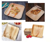 Assiettes jetables en feuilles de palmier de 10 pouces pour les fêtes, assiettes en feuilles de palmier compostables, respectueuses de l'environnement, ensemble d'assiettes biodégradables