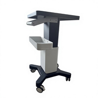 Chariot de spa en acier inoxydable avec roulettes, chariot de rangement roulant portable pour salon de beauté, adapté aux coiffeurs et aux esthéticiennes