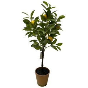 Personnalisé Faux En Plastique Bonsaï Artificielle <span class=keywords><strong>Citronnier</strong></span> Pièce Maîtresse Feuilles Vertes <span class=keywords><strong>pour</strong></span> Entrée Bureau Maison Thanksgiving Décor De Vacances - Product Image 3