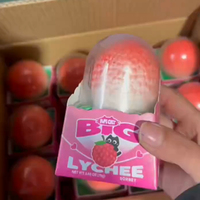 Es Krim PoPI CAT Bentuk Buah Leci 3D Rasa Buah Eksotis 75g Kemasan Kotak OEM Kustomisasi Grosir Supermarket Katering