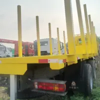 चीन ब्रांड HOWO sinotruk 6x4 लकड़ी परिवहन लॉगिंग ट्रक लकड़ी वाहक वाहन प्रवेश लोडर बेचने अच्छी तरह से