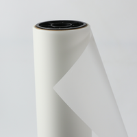 Rouleau de film de transfert DTF double face 30cm*100m/60cm*100m pour imprimante DTF