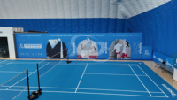 Structure gonflable de haute qualité pour arène sportive, hockey sur air, PVC, PVDF, structure soutenue, dômes sportifs gonflables pour terrain de football, tente