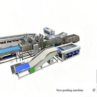 Machine de triage des fruits agricoles (pommes, ananas, durian, poires, bananes, oranges)