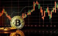 Desarrollo de Software de Aplicaciones de Criptomonedas de Marca Personalizada para Android, Diseño Móvil, Soporte para Sistemas Operativos Linux