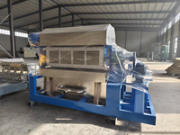 Machine de fabrication de barquettes à œufs en plastique/aluminium pour 30 œufs, prix usine, ligne de production de boîtes à œufs en pâte à papier à 4 côtés