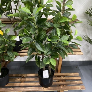 Surtido de gran oferta impermeable pequeño árbol de limón artificial para decoración de jardín - Product Image 2