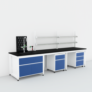 เฟอร์นิเจอร์ห้องปฏิบัติการ/โต๊ะติดผนังห้องปฏิบัติการพร้อมอ่างล้างจานและตู้ติดผนัง - Product Image 3