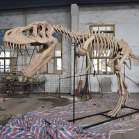 Chine Zigong Fabricant Réplique Artificielle Réelle Fossiles De Dinosaure Modèle Grand À Vendre