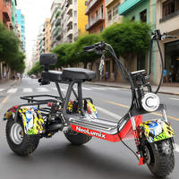 Triciclo Eléctrico de Tres Ruedas para Adultos, Modelo 2025, 800w, Económico, Mini, de Dos Plazas