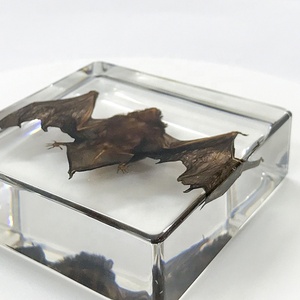 Espécimen de murciélago personalizado Resina de cristal única Real incrustada como recuerdo Decoración de vacaciones Regalo Hogar - Product Image 3