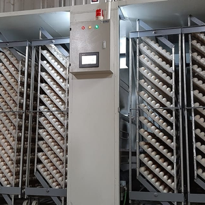 Incubateur d'œufs de poulet, machine d'incubation entièrement automatique, grande capacité, fabriqué au Vietnam, fabricant, best-seller - Product Image 1