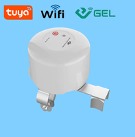 Contrôleur de sécurité intelligent TUYA pour la maison avec coupure automatique du gaz et de l'eau, 240V/10A, alimenté par prise, minuterie et gestion à distance CN