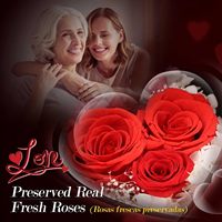 Collier Mère Fille Fils avec Rose Véritable Préservée « Je t'aime » en 100 Langues – Coffret Cadeau Unique pour Anniversaire