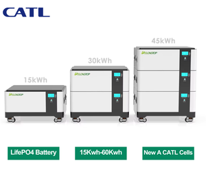 แบตเตอรี่ลิเธียมไอออน Lifepo4 คุณภาพเกรด A ใหม่จาก EU ขนาด 15 กิโลวัตต์ชั่วโมง 48 โวลต์ 51.2 โวลต์ 300 แอมป์ชั่วโมง สำหรับระบบพลังงานแสงอาทิตย์ แบตเตอรี่พลังงาน 15 กิโลวัตต์ชั่วโมง 30 กิโลวัตต์ชั่วโมง 60 กิโลวัตต์ชั่วโมง - Product Image 1