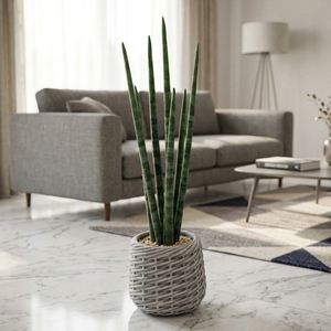Nuovo Design Piante Artificiali in Vaso Miniatura ad Alta Durabilità, Vendita Diretta dalla Fabbrica, <span class=keywords><strong>Bonsai</strong></span> con Foglie Verdi Realistiche per Decorazione Scaffali - Product Image 2
