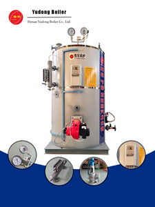 Generador de Vapor Industrial de 300 kg, Vertical, a Gas, Petróleo o Vapor, Baja Presión, 500 kg/h, 0.5 Toneladas, para Uso Industrial - Product Image 4