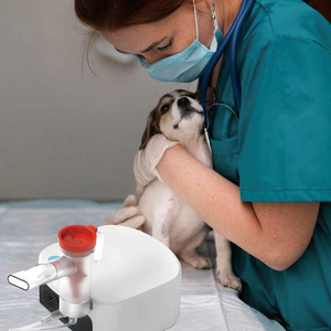 Dokter hewan, peralatan obat terkompresi udara, mesin <span class=keywords><strong>Nebulizer</strong></span> anjing kompresi medis, <span class=keywords><strong>Nebulizer</strong></span> hewan portabel untuk kucing - Product Image 3