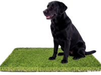 Gazon artificiel haute densité 20 mm à lame multidirectionnelle avec support en latex pour simulation de putting green et parcours de golf