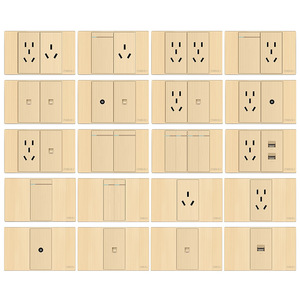 International Electric H8 118 Type Switch Socket Single Position 16A Brushed Gold With Usb Port - Product Image 1