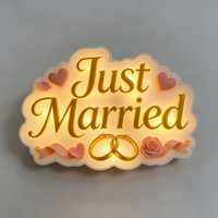 Lanterne commémorative en silicone personnalisée PAISEN, lumière LED pour festival, décoration lumineuse en silicone, lettres lumineuses en silicone