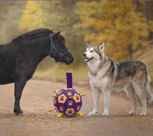 Großhandel Mode Haustier Fußball Hundes pielzeug Hund Kauen Spielzeug Ball Private Label Hundes pielzeug - Product Image 5