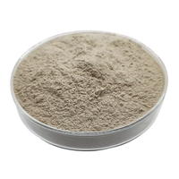Kit professionnel de micro-aiguilles anti-acné à base d'extraits végétaux, contrôle du sébum, avec poudre brune de spicules d'éponge hydrolysée de qualité cosmétique