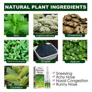 Semprotan tanning perawatan alergi hidung, pengobatan alergi hidung, <span class=keywords><strong>Rhinitis</strong></span> Logo pribadi Anti mendengkur - Product Image 6