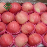 Rode Fuji Apple Verse Apple Met China Leverancier