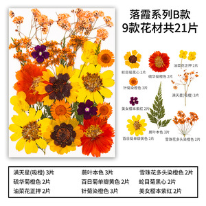 18-32pcs/pack <strong>Sunset</strong> Clouds Series Pressed <strong>Flower</strong> Mix Packs DIY Art Crafts Making Natural Plant Eco-friendly - Product Image 3