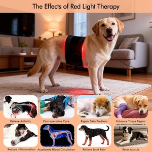 Tapis de thérapie par lumière rouge pour animaux de compagnie, coussin chauffant pour chiens et chats, pour soulager les douleurs articulaires, la relaxation et la récupération, taille 86*30CM - Product Image 6