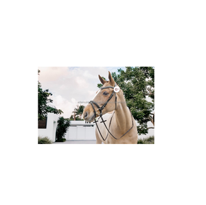 Brida de caballo de cuero de snaffle de buena calidad con banda para la frente Horae Equipo de equitación Fabricante mayorista - Product Image 1