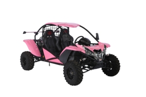 Kart tout-terrain certifié EPA/EEC, buggy tout-terrain 4x4 Renli 500cc économique pour adultes - Product Image 5